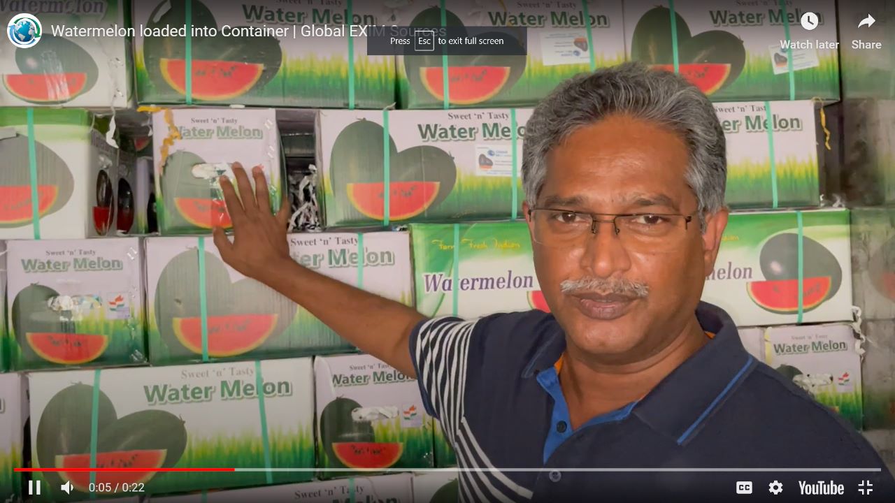 Watermelon loaded into Container | Global EXIM Sources